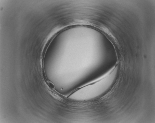 X0000067491372200604071153