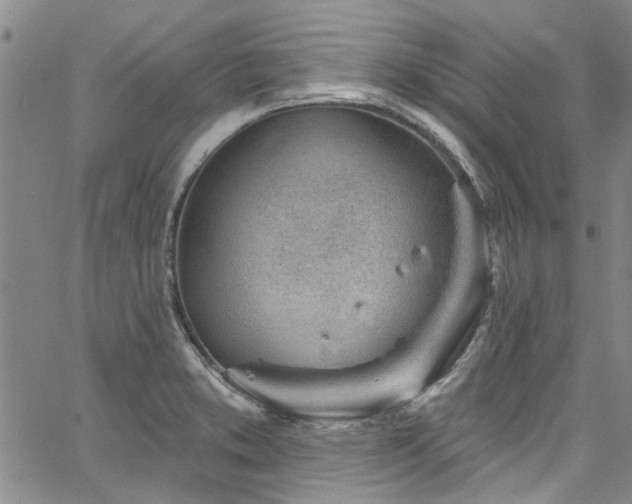 X0000067491373200604071153