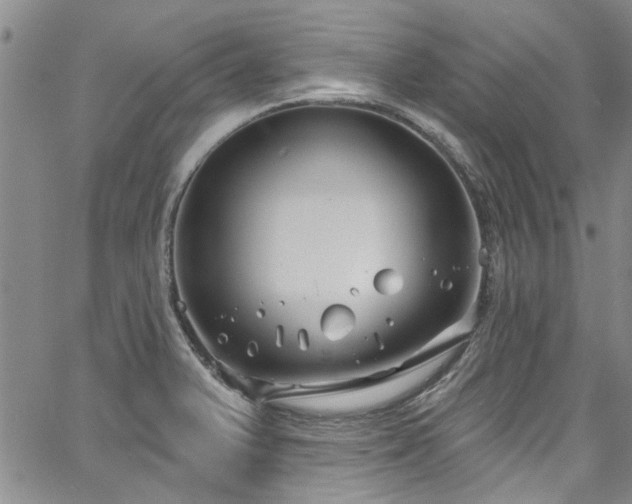 X0000067491375200604071153