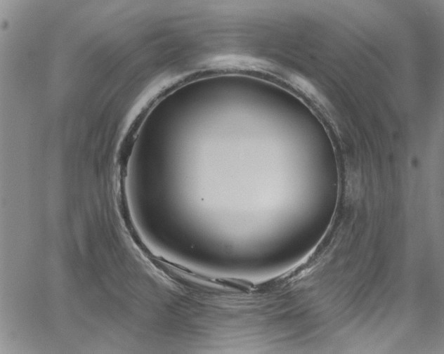 X0000067491376200604071153