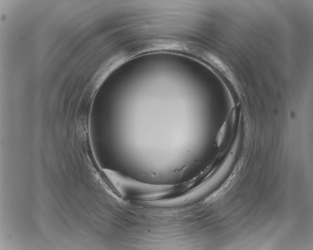 X0000067491377200604071153