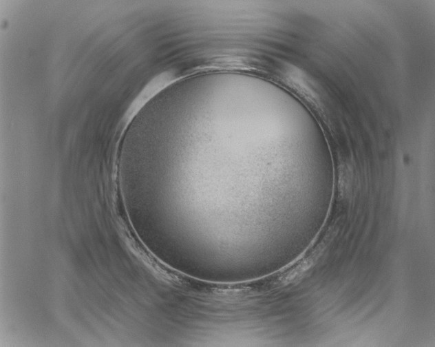 X0000067491378200604071153