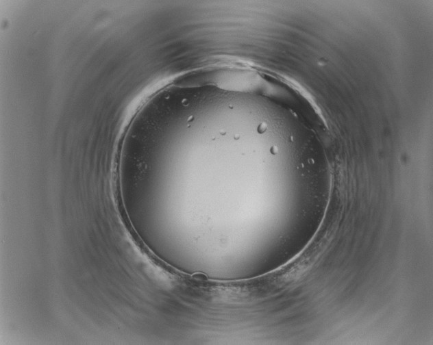 X0000067491379200604071153