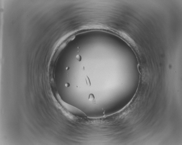 X0000067491380200604071153