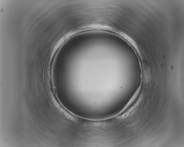 X0000067491381200604071153