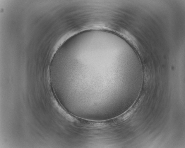 X0000067491382200604071153