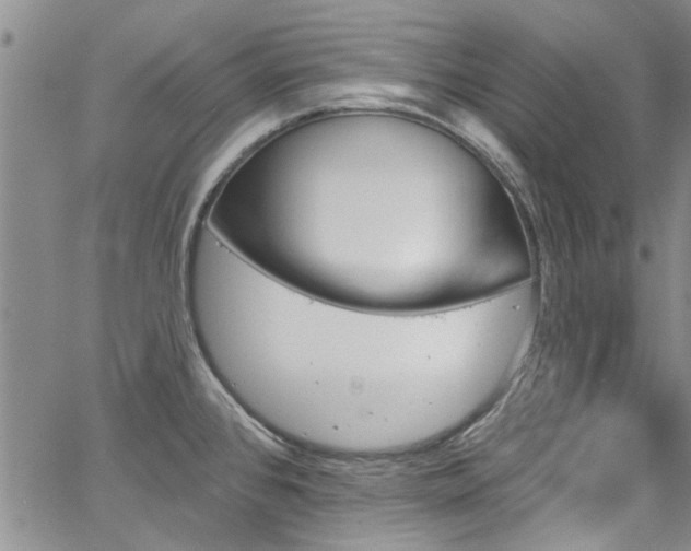 X0000067491384200604071153