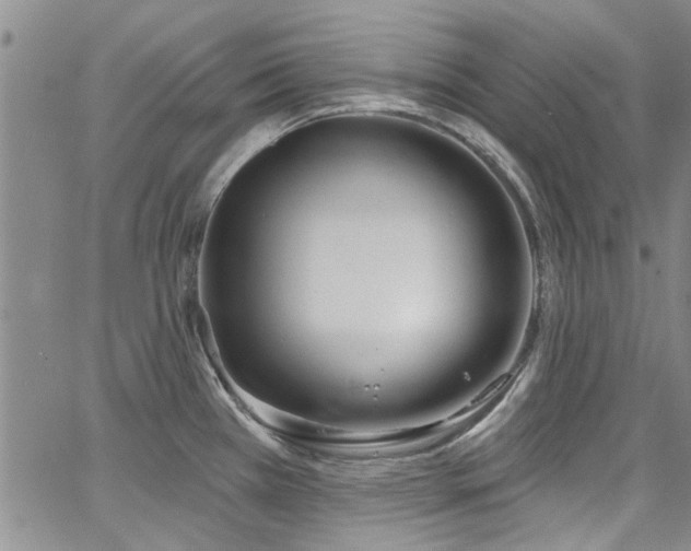 X0000067491385200604071153