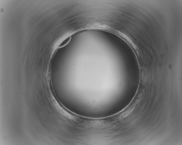 X0000067491387200604071153