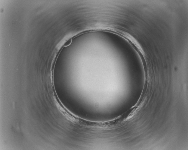 X0000067491388200604071153