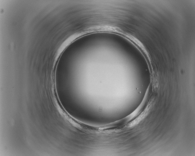 X0000067491389200604071153