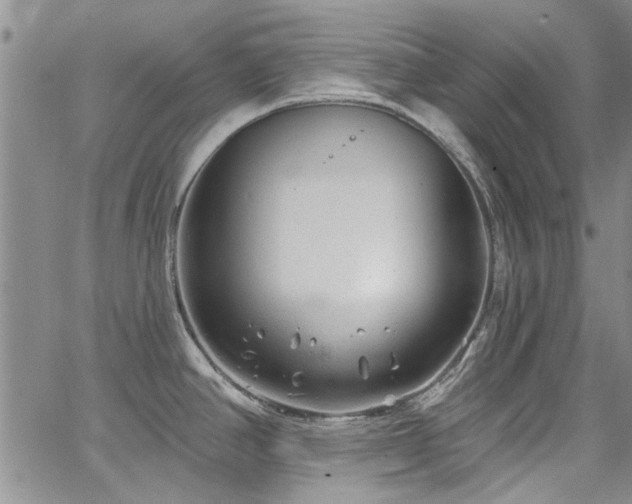 X0000067491390200604071153