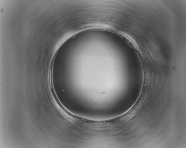 X0000067491391200604071153