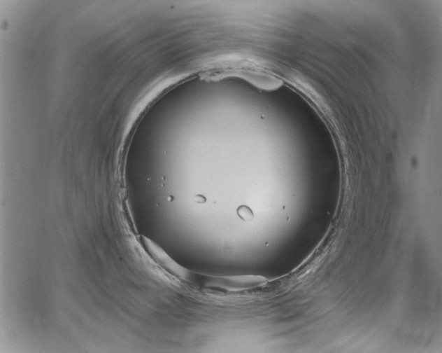 X0000067491392200604071153