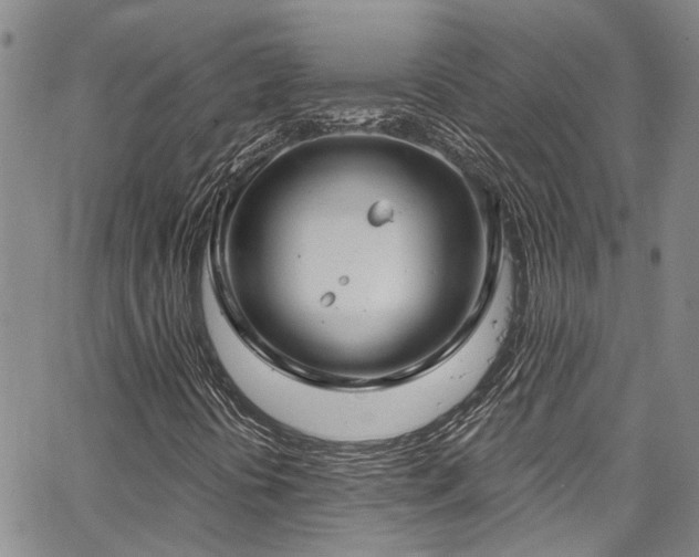 X0000067491394200604071152