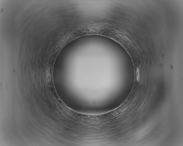 X0000067491395200604071152