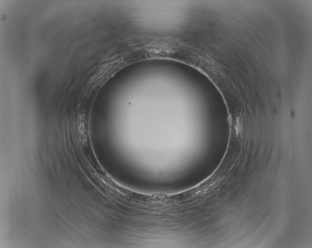 X0000067491396200604071152