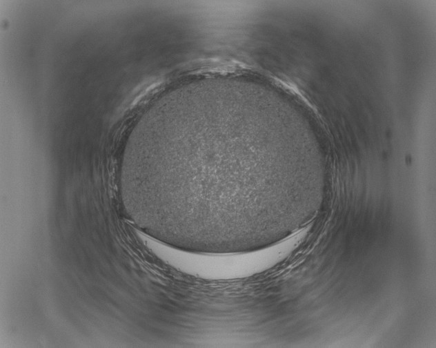 X0000067491399200604071152