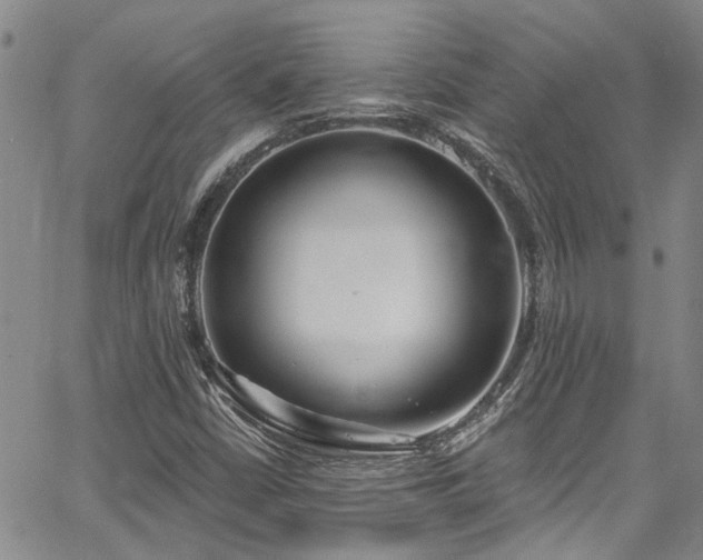 X0000067491402200604071152