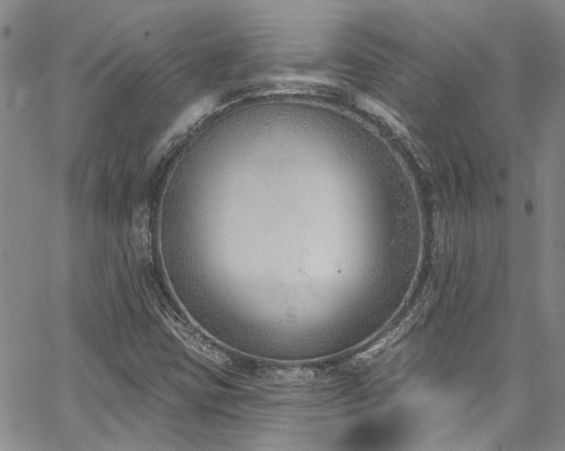 X0000067491403200604071152