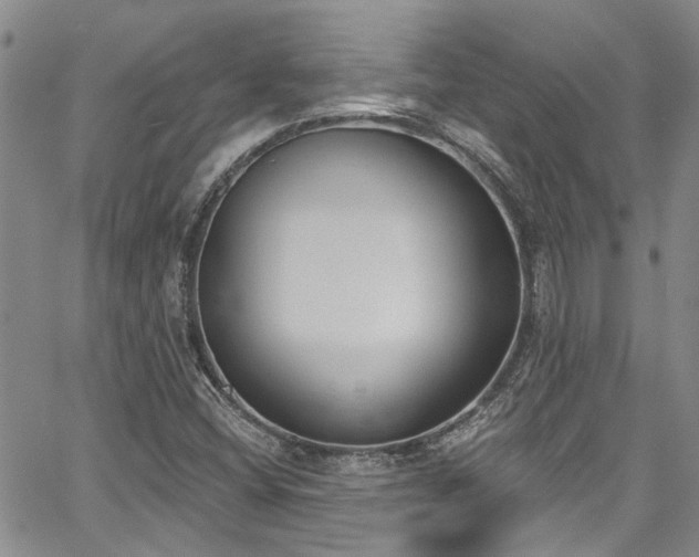 X0000067491404200604071152