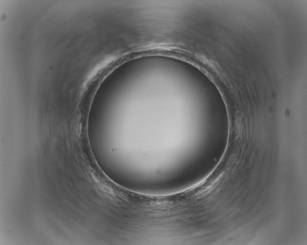 X0000067491406200604071152