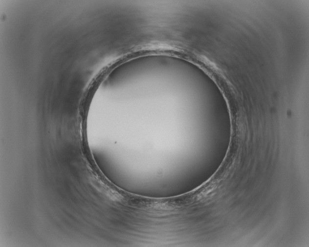 X0000067491408200604071152