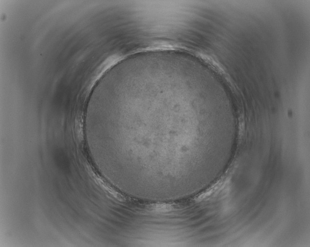 X0000067491409200604071152