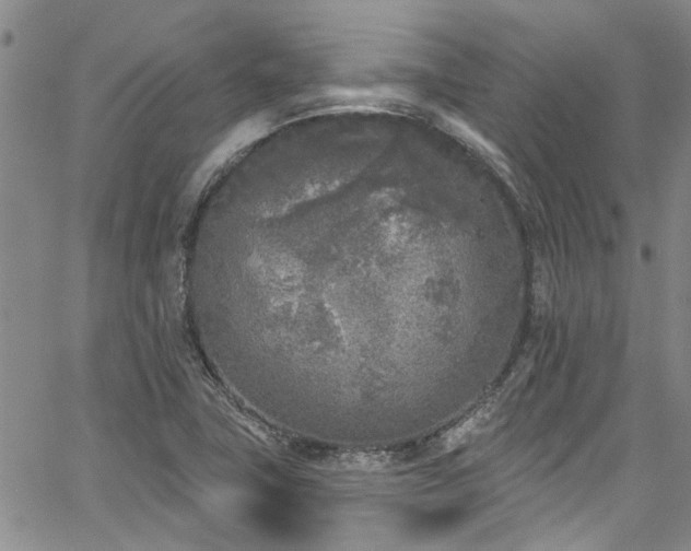 X0000067491411200604071152