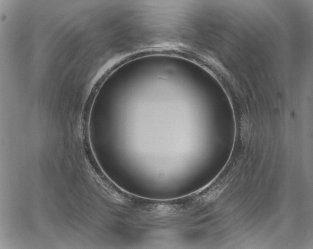 X0000067491412200604071152