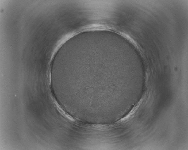 X0000067491413200604071152