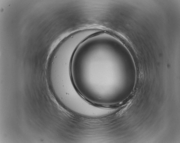 X0000067491414200604071152