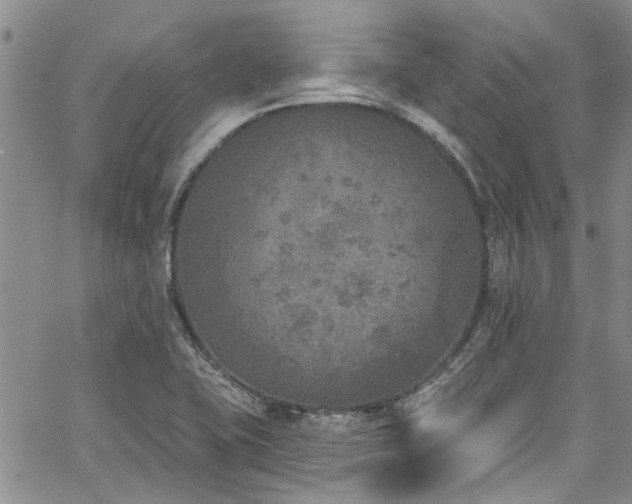 X0000067491415200604071152