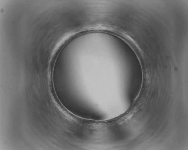 X0000067491416200604071152