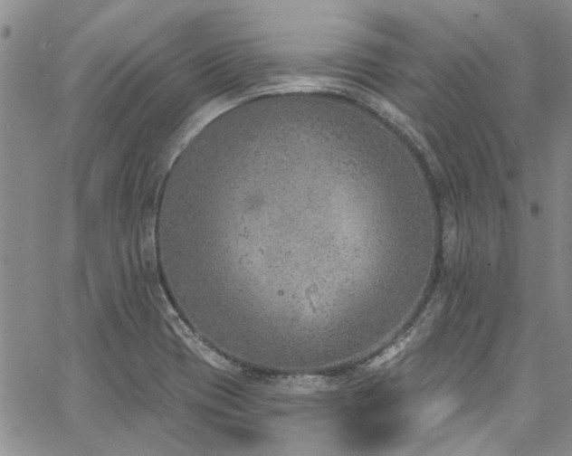 X0000067491417200604071152