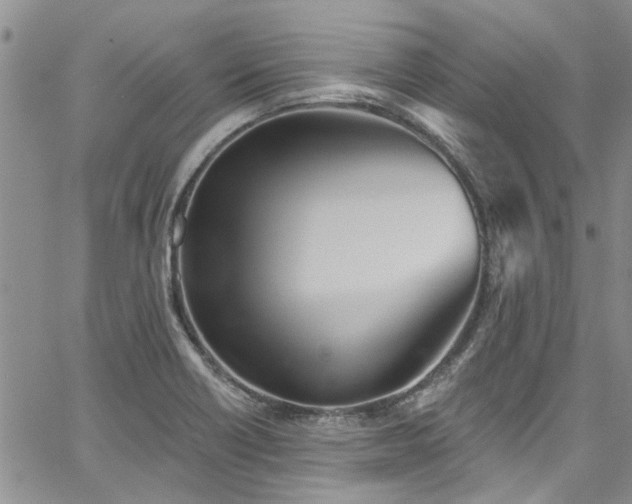 X0000067491418200604071152