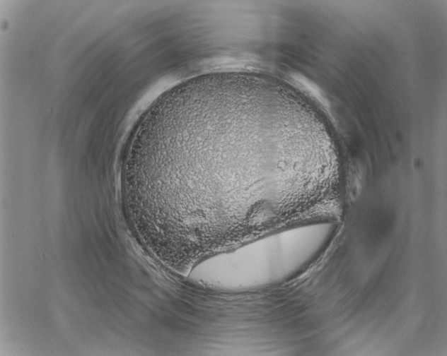 X0000067491419200604071152