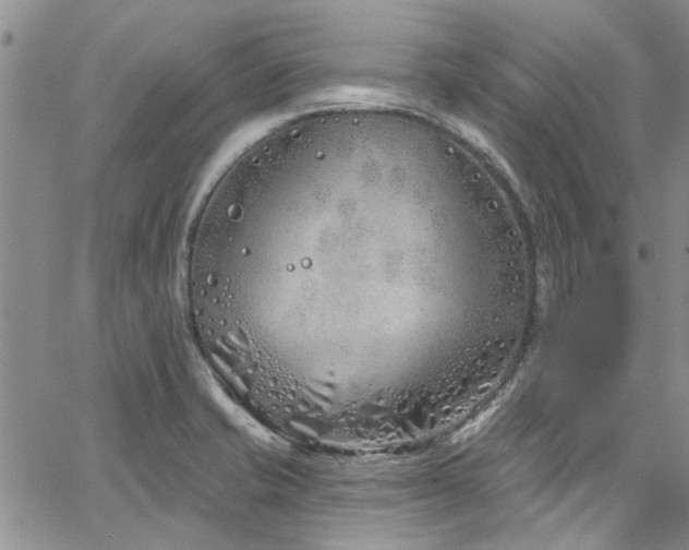 X0000067491421200604071152