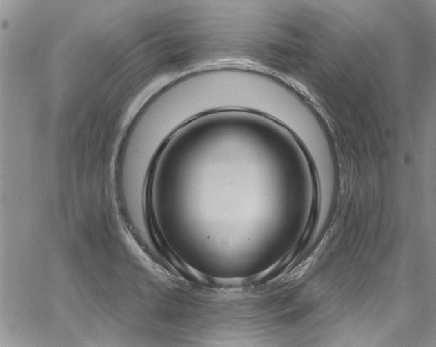 X0000067491422200604071152