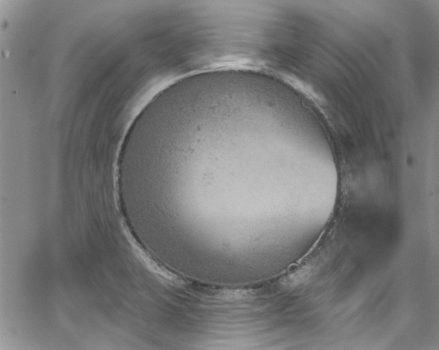 X0000067491423200604071152