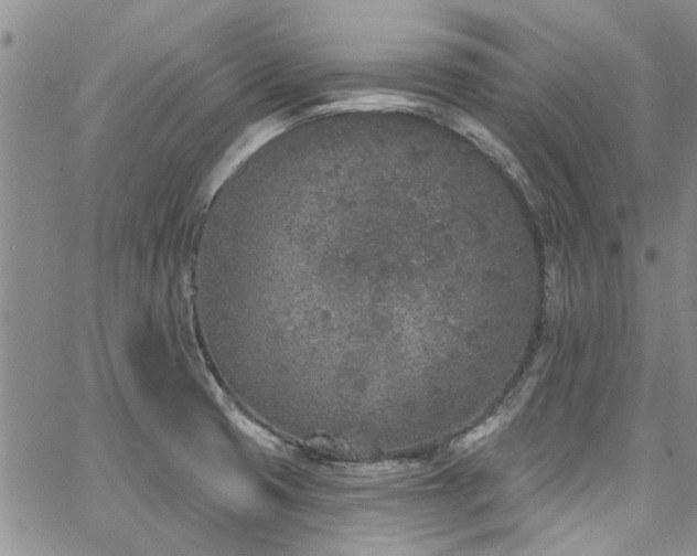 X0000067491425200604071152