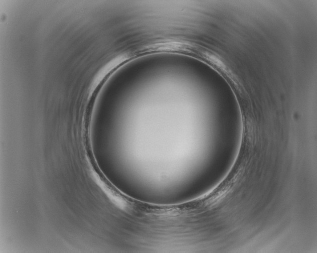 X0000067491426200604071152