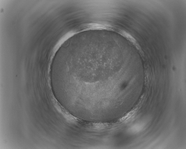 X0000067491427200604071153