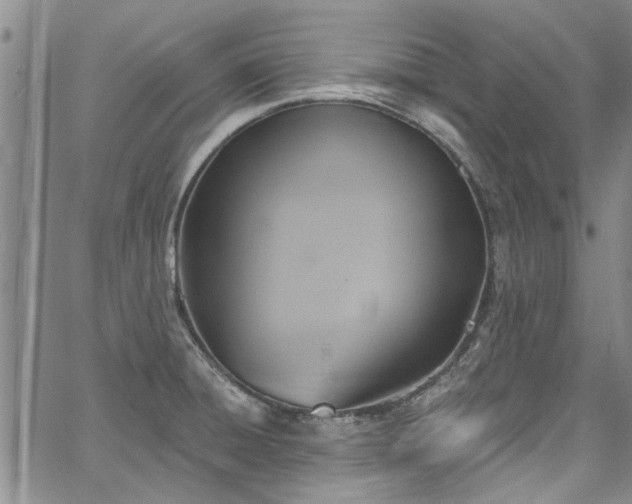 X0000067491428200604071153