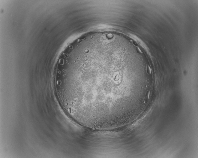 X0000067491429200604071153