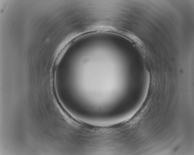 X0000067491430200604071153