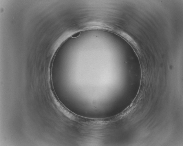 X0000067491431200604071153