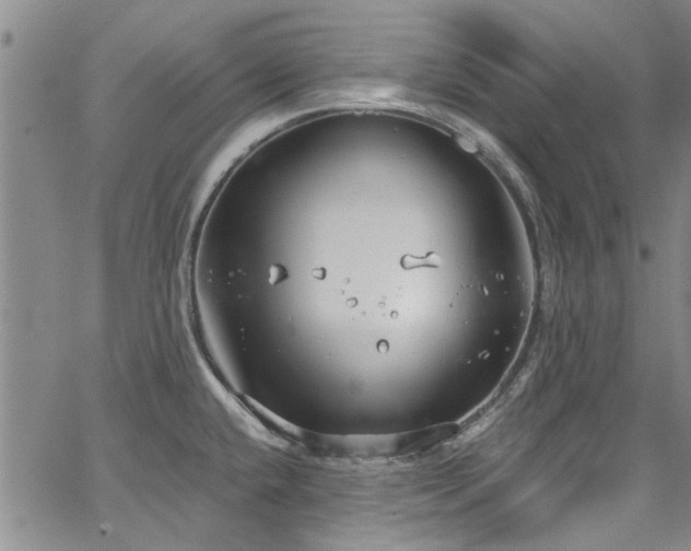 X0000067491432200604071153