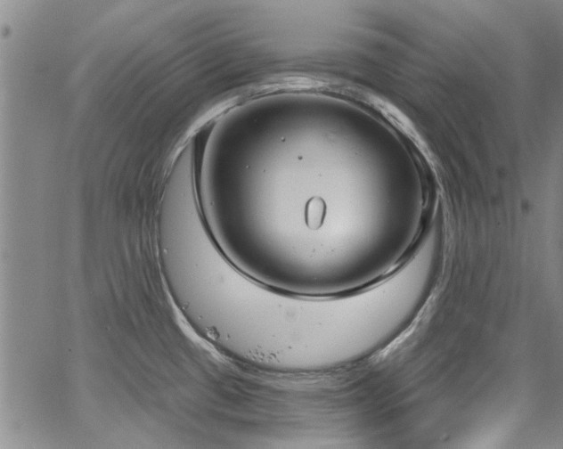 X0000067491433200604071153