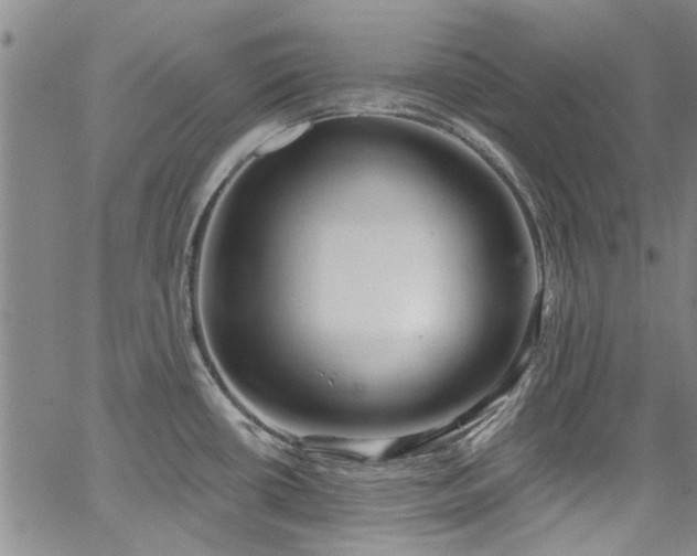 X0000067491434200604071153